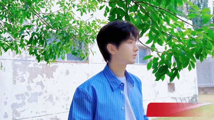 2023微博涨粉明星top10，有你家那个吗？#白鹿